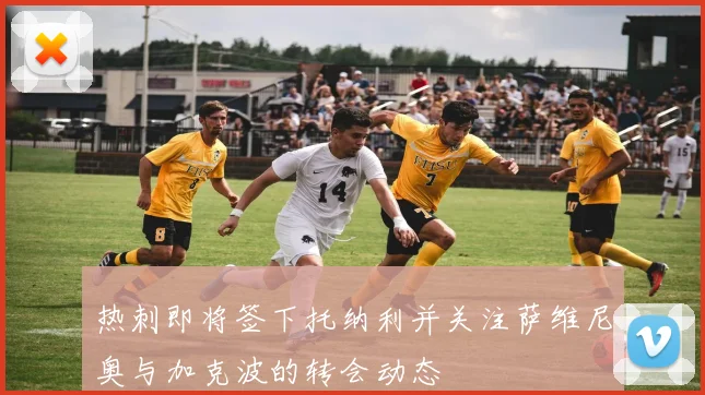 热刺即将签下托纳利并关注萨维尼奥与加克波的转会动态