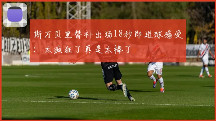 斯万贝里替补出场18秒即进球感受：太疯狂了真是太棒了