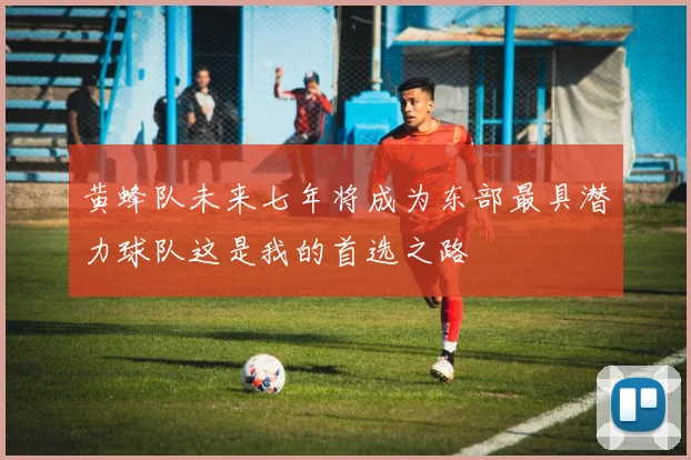 黄蜂队未来七年将成为东部最具潜力球队这是我的首选之路