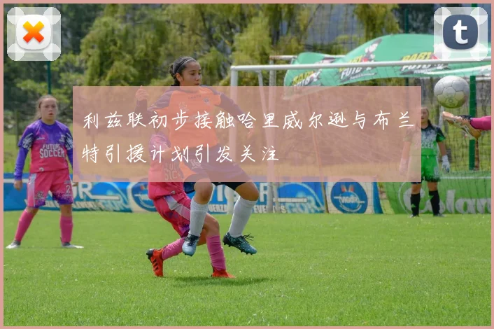 利兹联初步接触哈里威尔逊与布兰特引援计划引发关注