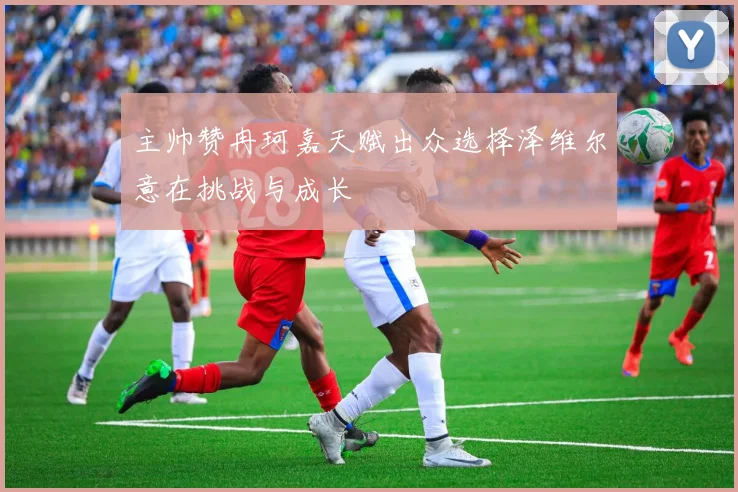 主帅赞冉珂嘉天赋出众选择泽维尔意在挑战与成长