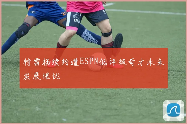 特雷杨续约遭ESPN低评级奇才未来发展堪忧